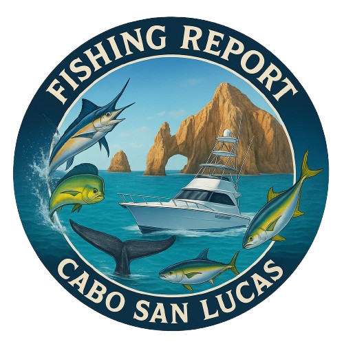 Cabo Sport Fishing Report Logo